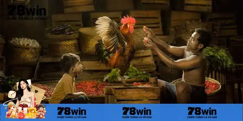 Khám phá thông tin về đá gà trực tiếp